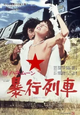 蜜月暴行列车：一场意外之旅引发的浪漫与救赎